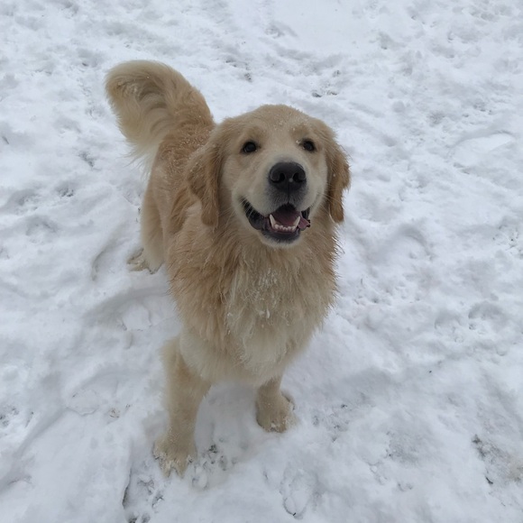 ▪️ABOUT ME▪️ - Picture 14 of 16